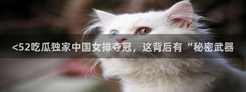 cggolive51吃瓜:<52吃瓜独家中国女排夺冠,这背后有“秘密武器