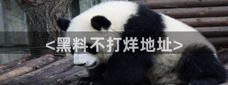 tongrentu8吃瓜吃瓜:<黑料不打烊地址>
