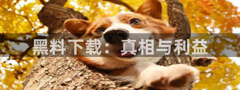 吃小瓜舌头尖疼是为什么:黑料下载:真相与利益