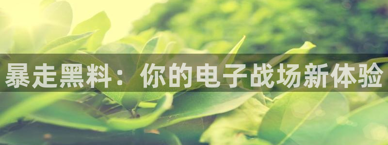 51吃瓜张津瑜:暴走黑料:你的电子战场新体验